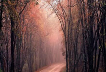 亚星：韩媒：孙兴慜等海外球员将于今日下午前往韩国国家队报到.