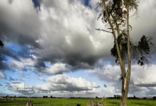 专访00后旗手刘梦婷:“追赶者”更要有冲金的心2025-02-08.