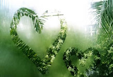 不自律照样能成巨星？NBA这6人真做到了，张伯伦上榜.